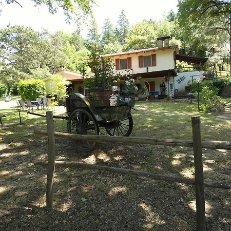 Scappo In Umbria, La Casa Nel Bosco Villa Amelia Luaran gambar
